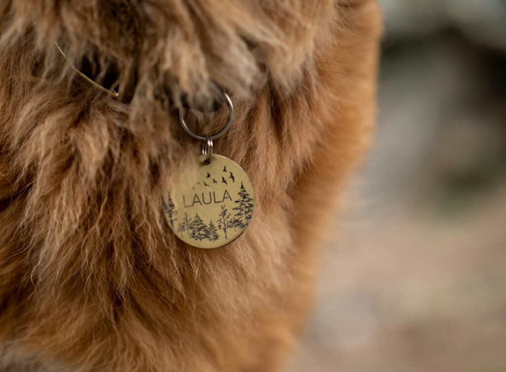 dog tag